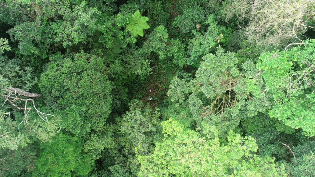 drone shot image of property in costa  rica for carbon credits
