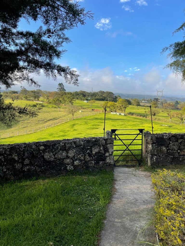 finca for sale Oreamuno de Cartago view of grazing land