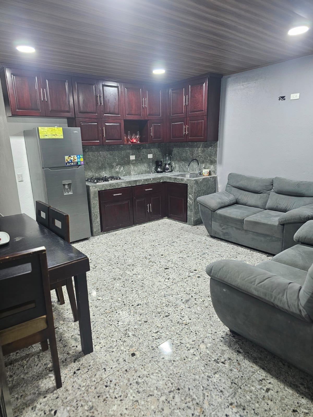 jacorentalapartment for sale and rent in costa rica